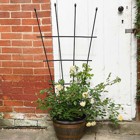 Garden Gear 1.2-Metre Fan Trellis